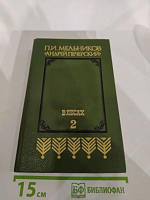 В лесах. Книга вторая