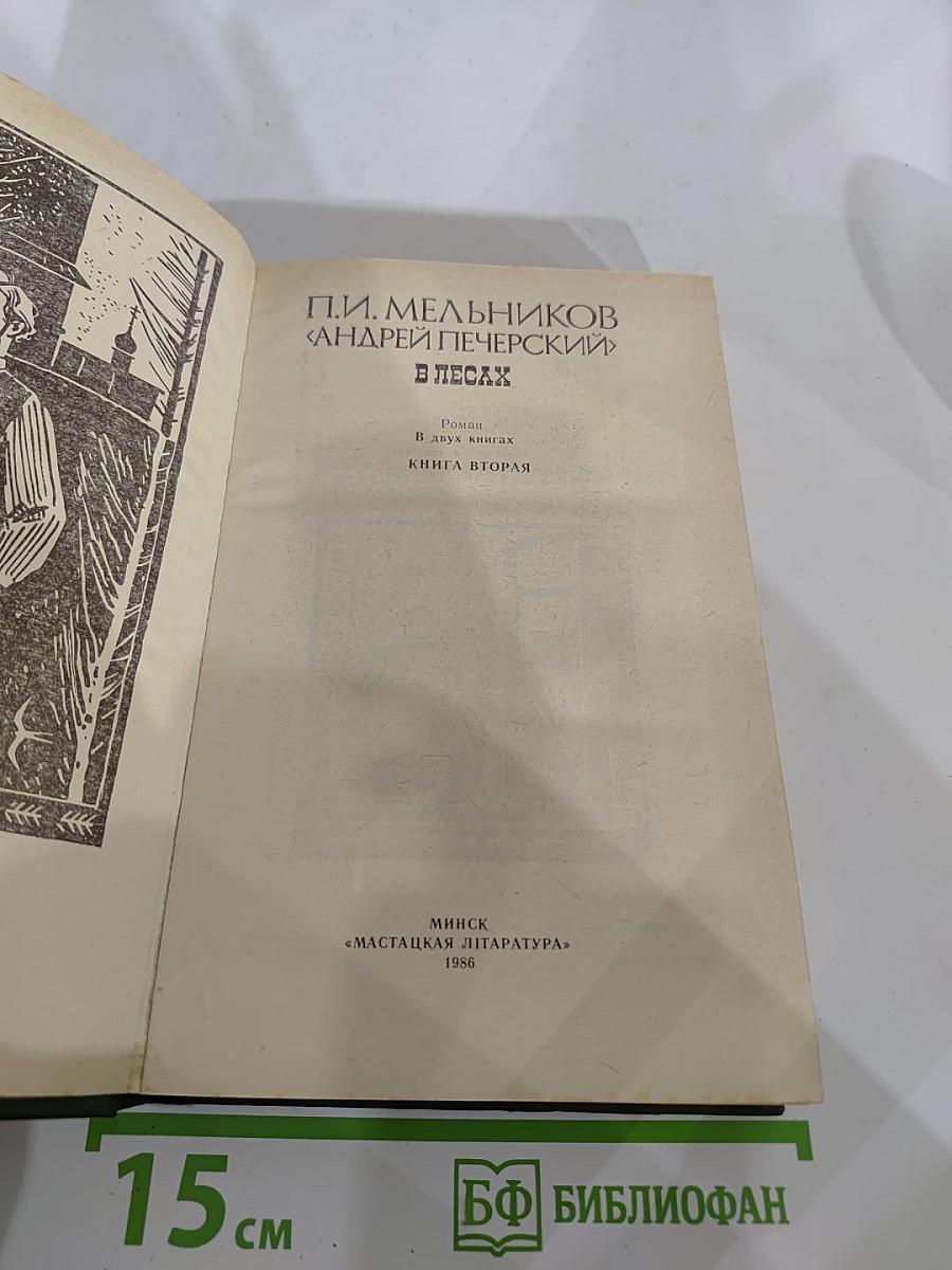 В лесах. Книга вторая