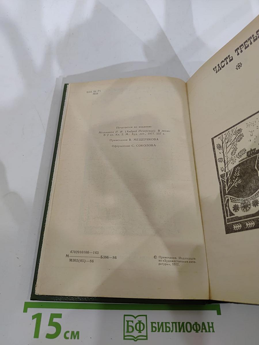 В лесах. Книга вторая
