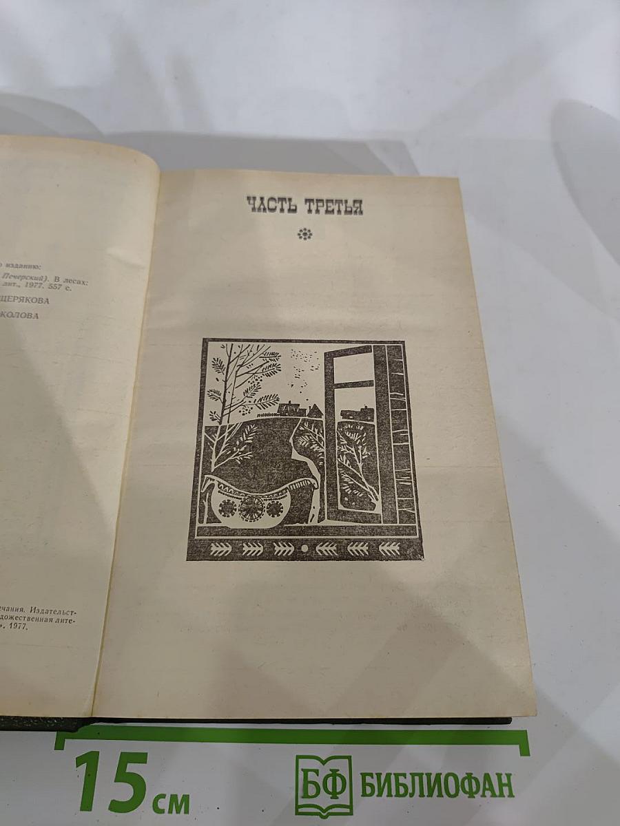 В лесах. Книга вторая