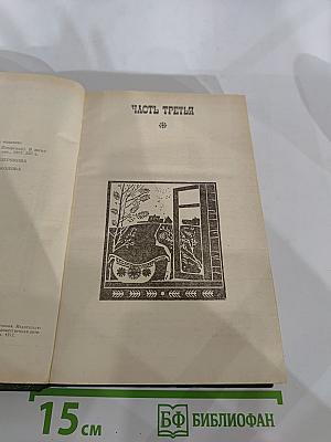 В лесах. Книга вторая