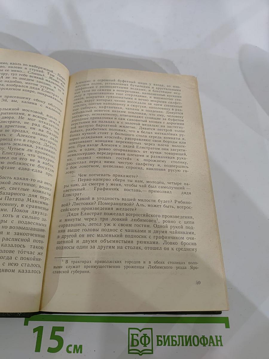 В лесах. Книга вторая