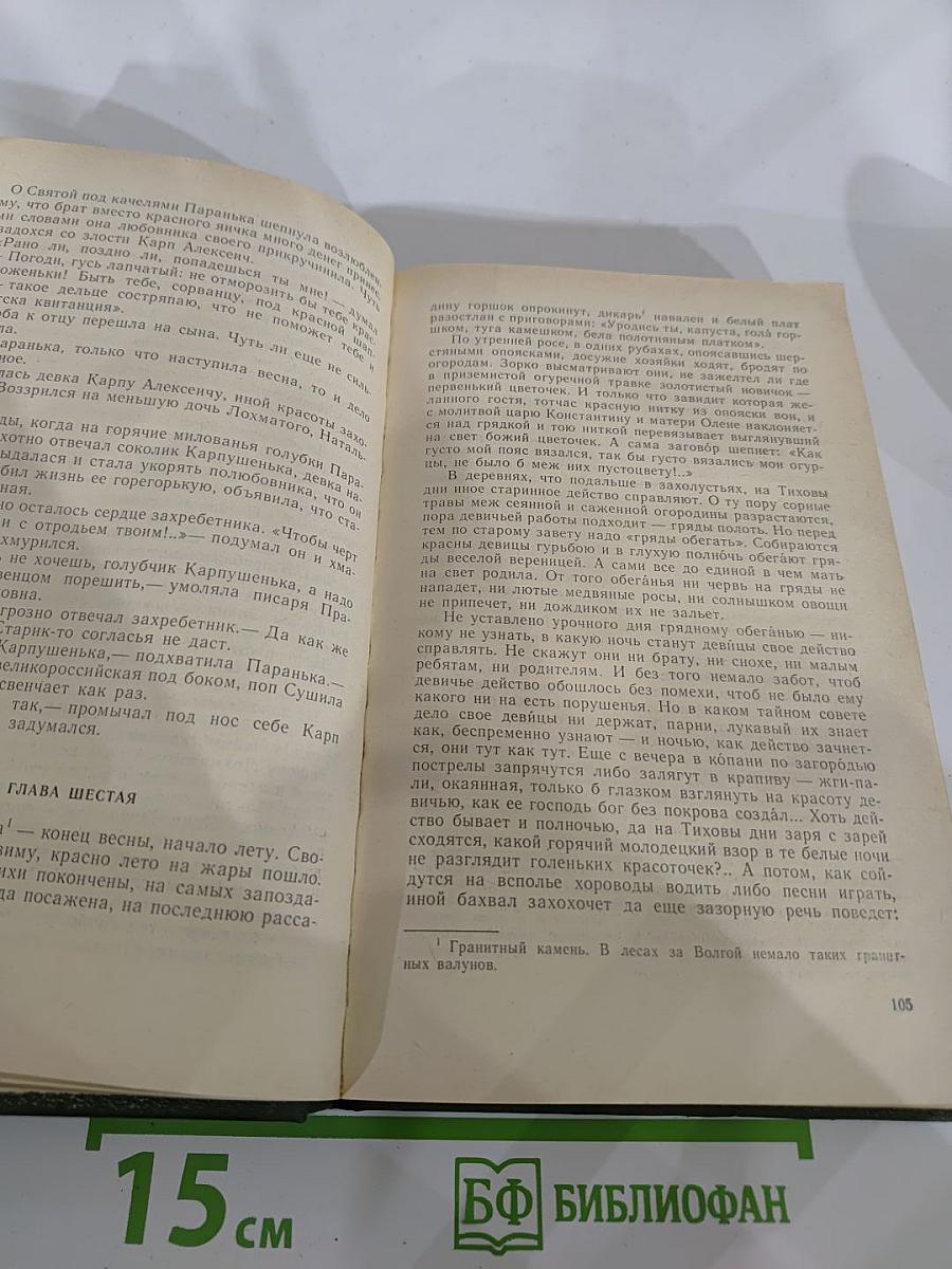 В лесах. Книга вторая