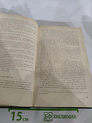 В лесах. Книга вторая