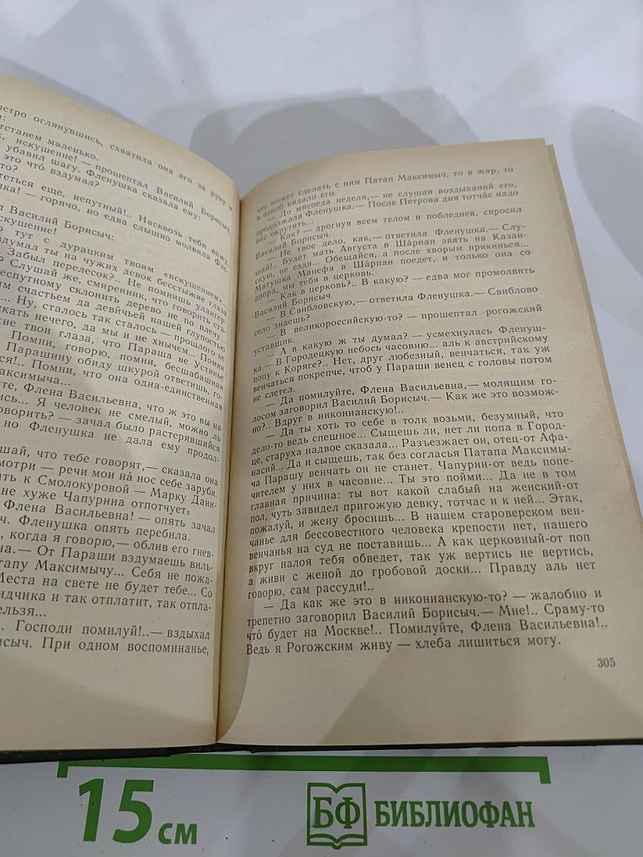 В лесах. Книга вторая