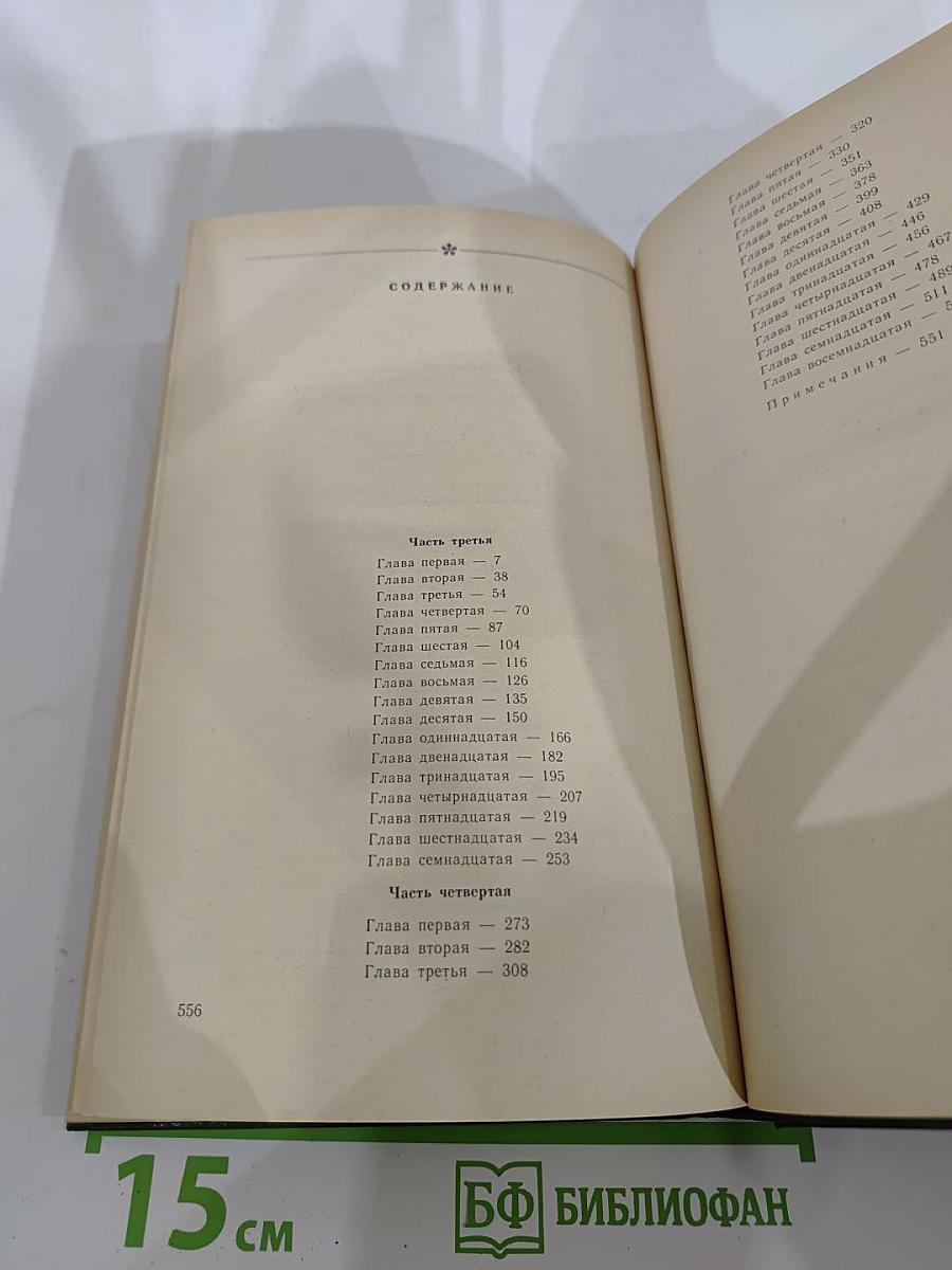 В лесах. Книга вторая