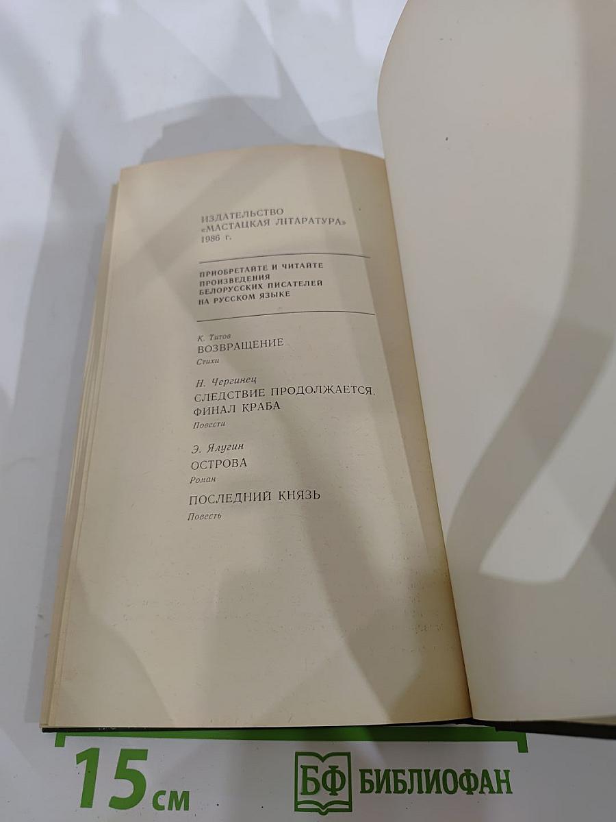 В лесах. Книга вторая