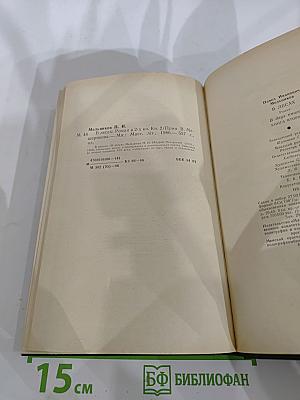 В лесах. Книга вторая