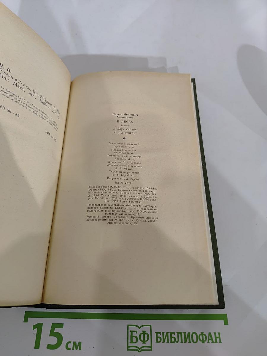 В лесах. Книга вторая