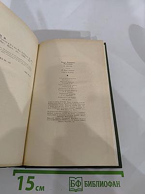 В лесах. Книга вторая
