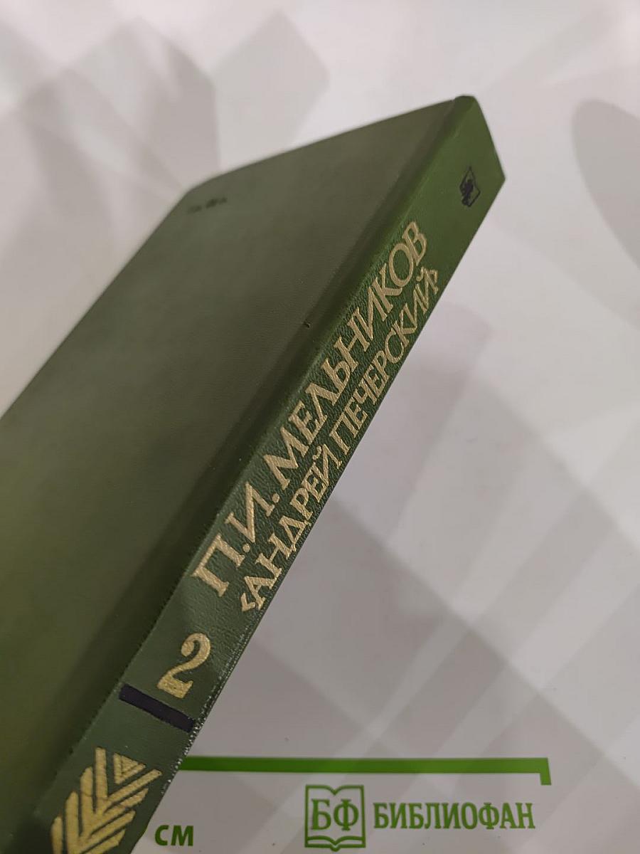 В лесах. Книга вторая