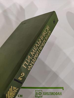 В лесах. Книга вторая