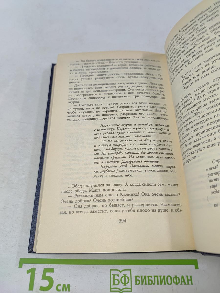 Академия домашних волшебников, или История о том, как однажды зимним вечером в комнату влетел кораблик-канзасский листок и Салинка сняла шапочку-невидимку... и Салинка сняла шапочку-невидимку...