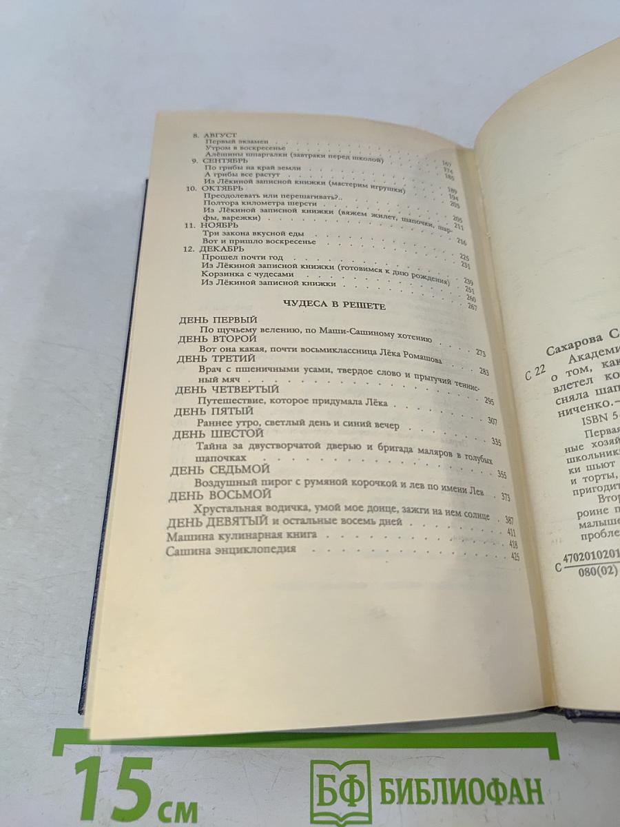 Академия домашних волшебников, или История о том, как однажды зимним вечером в комнату влетел кораблик-канзасский листок и Салинка сняла шапочку-невидимку... и Салинка сняла шапочку-невидимку...