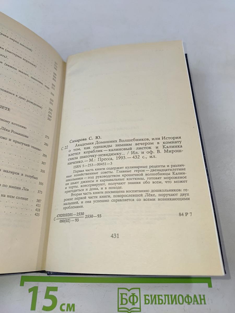 Академия домашних волшебников, или История о том, как однажды зимним вечером в комнату влетел кораблик-канзасский листок и Салинка сняла шапочку-невидимку... и Салинка сняла шапочку-невидимку...
