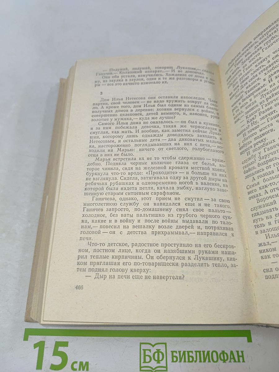 Братья и сестры. Роман в четырех книгах. Кн. 1-2