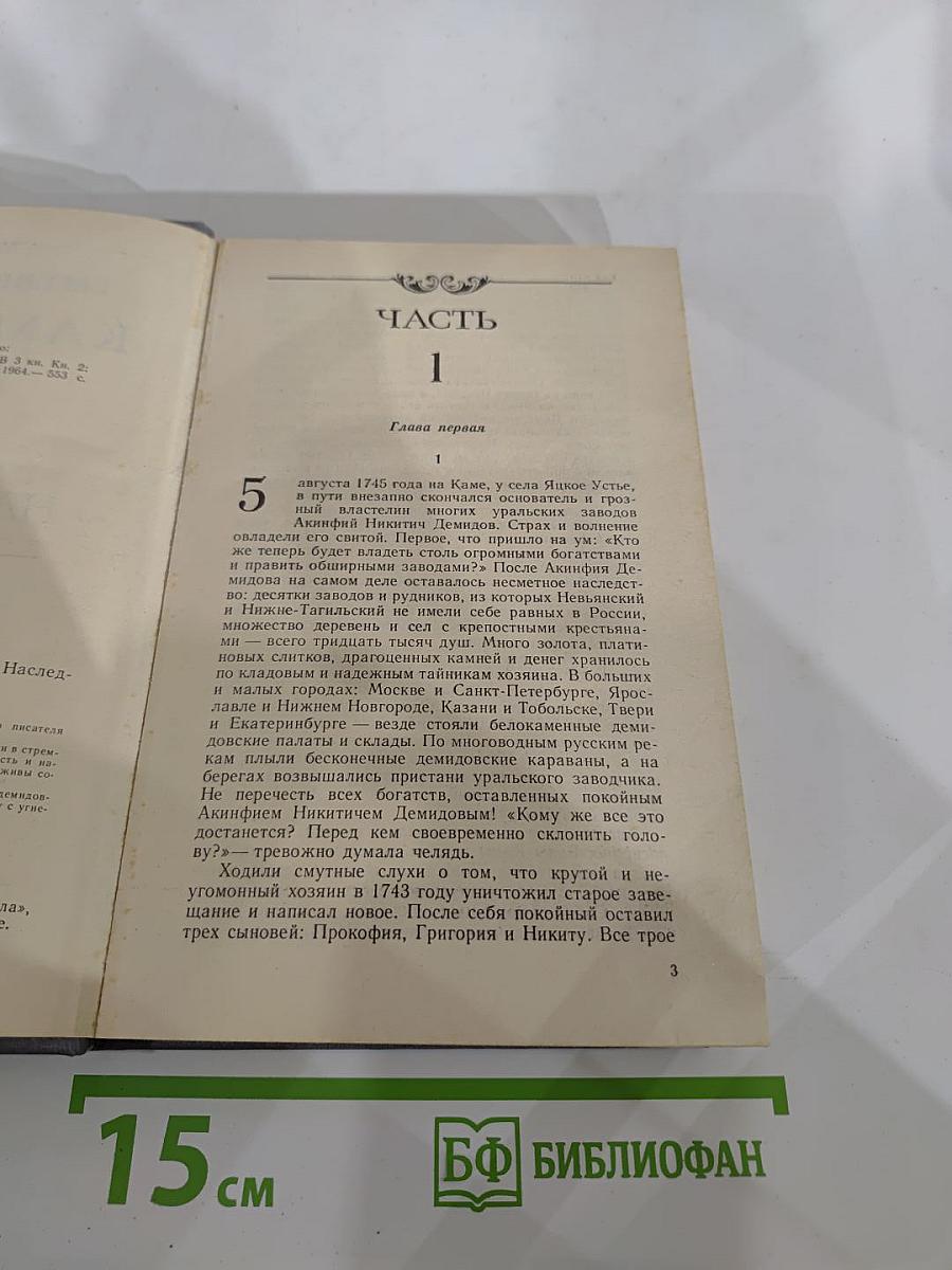 Каменный пояс. Книга вторая. Наследники