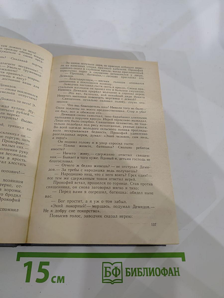 Каменный пояс. Книга вторая. Наследники