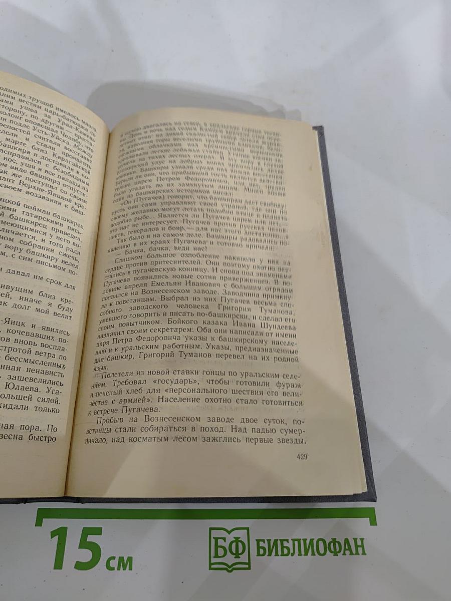 Каменный пояс. Книга вторая. Наследники