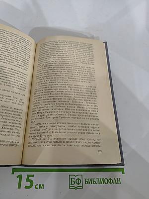 Каменный пояс. Книга вторая. Наследники
