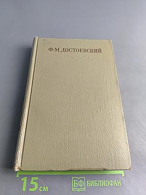 Подросток. Том тринадцатый