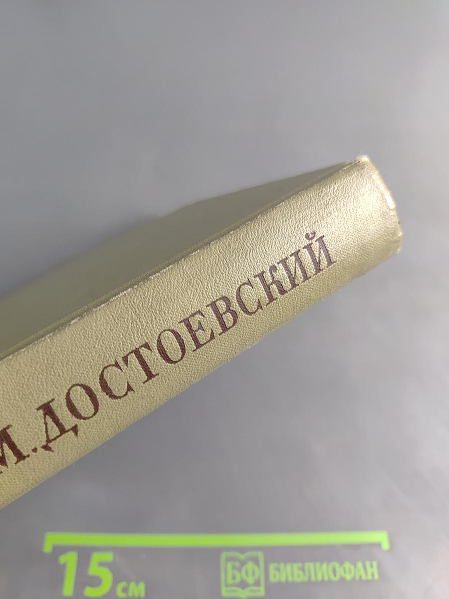 Подросток. Том тринадцатый