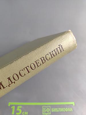 Подросток. Том тринадцатый
