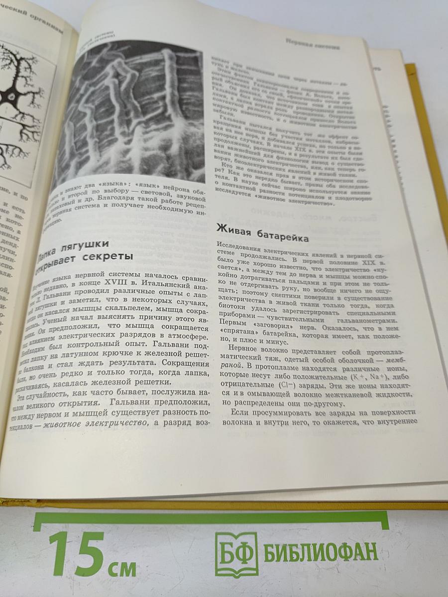 Детская энциклопедия. Том 7. Человек