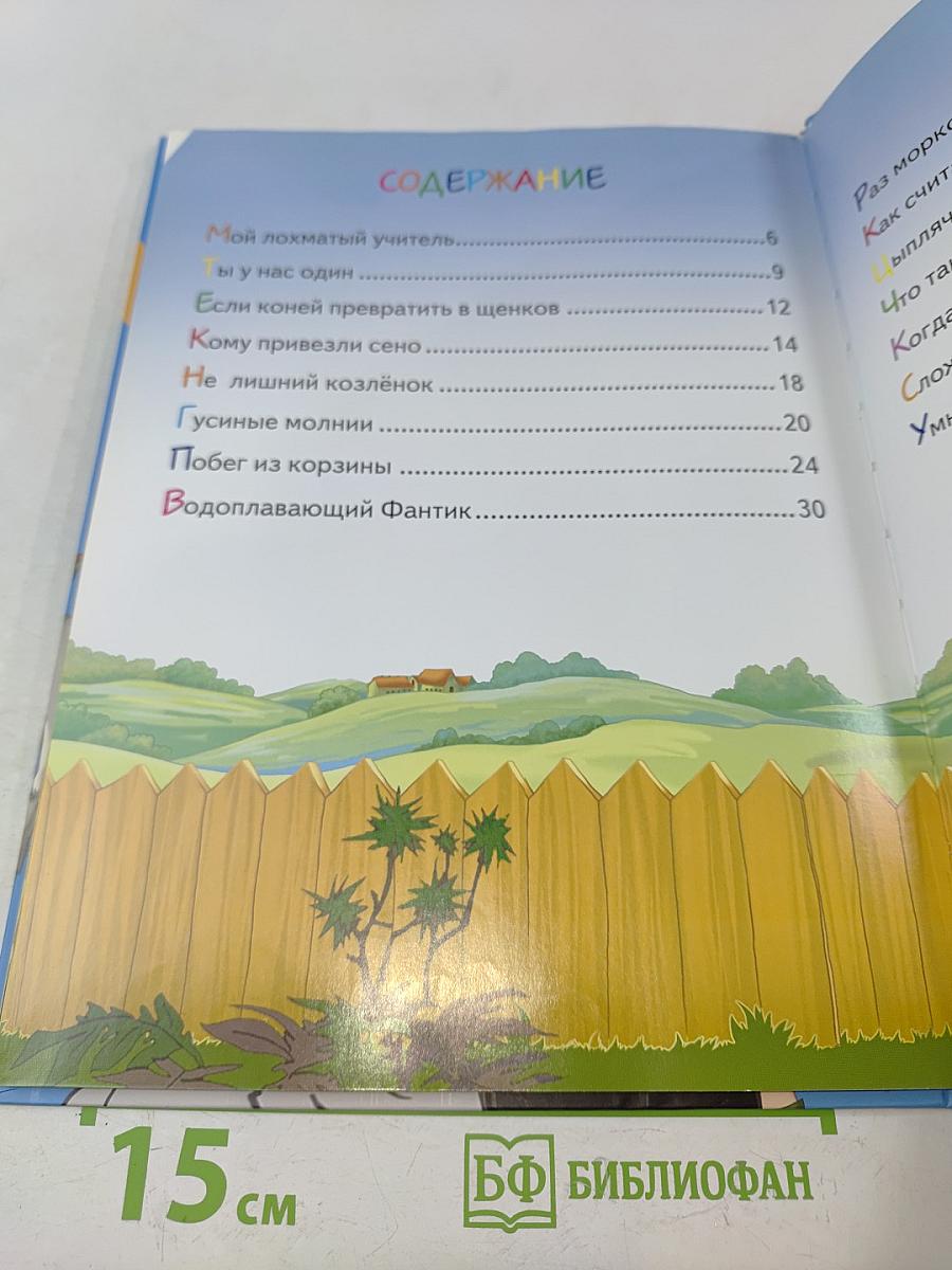 Школа щенка Фантика