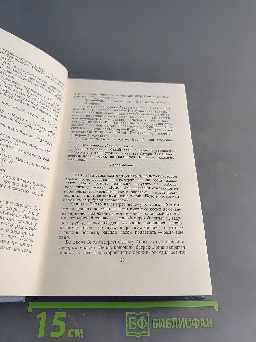 Семья Зитаров (Старое моряцкое гнездо). Том третий