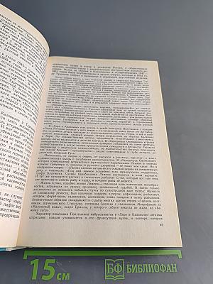 История русской литературы XIX века (Вторая половина)