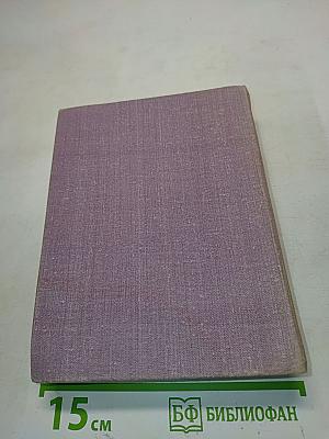 Чижик — птичка с характером