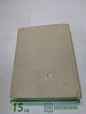 Чижик-птичка с характером