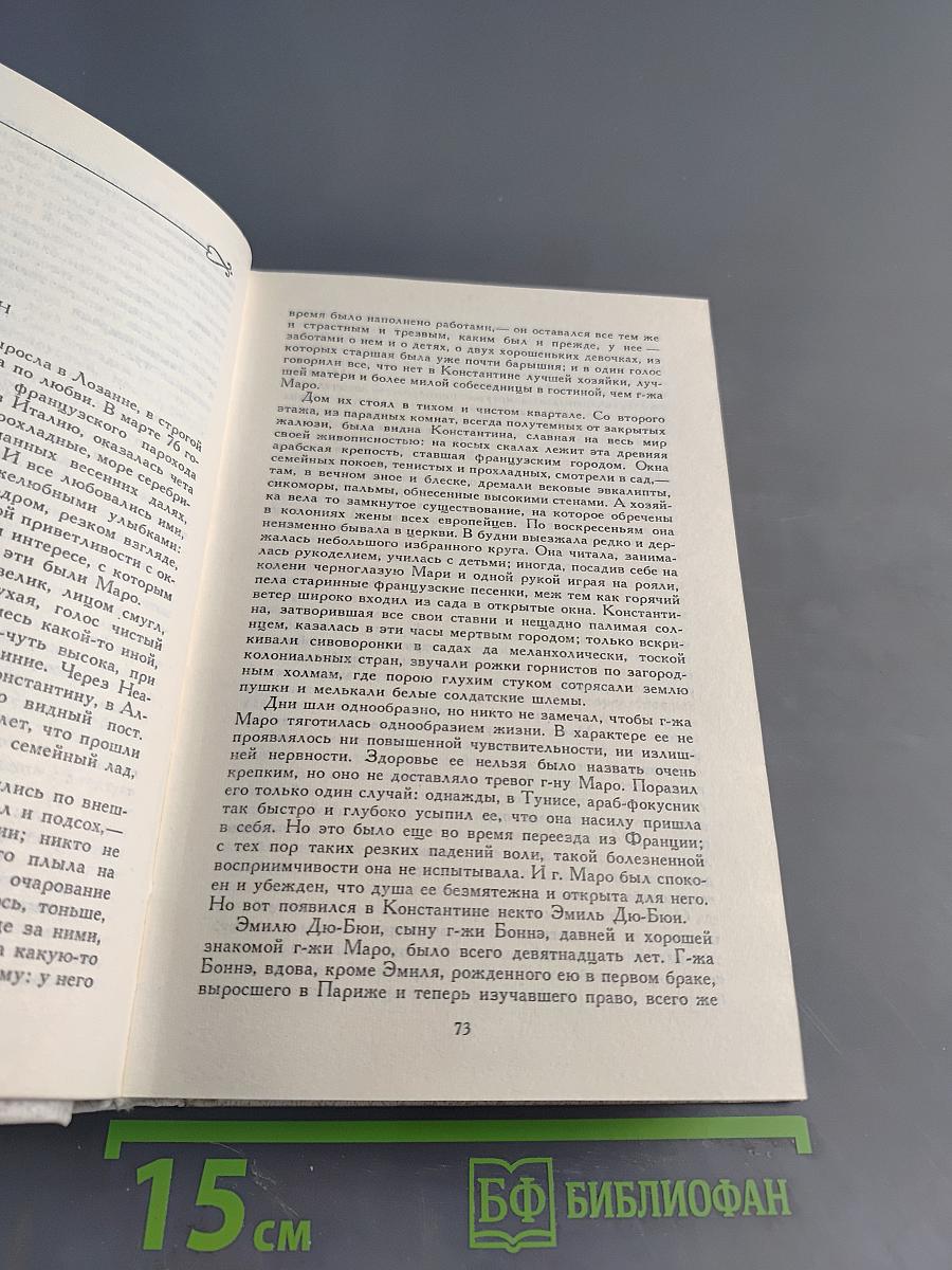 Собрание сочинений в десяти томах. Том 4. Произведения 1914-1931