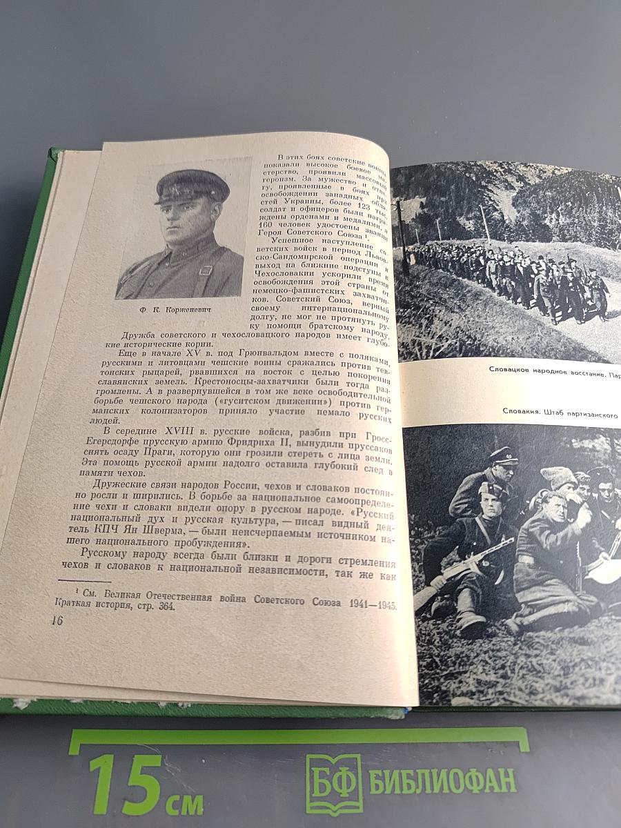 Через Карпаты