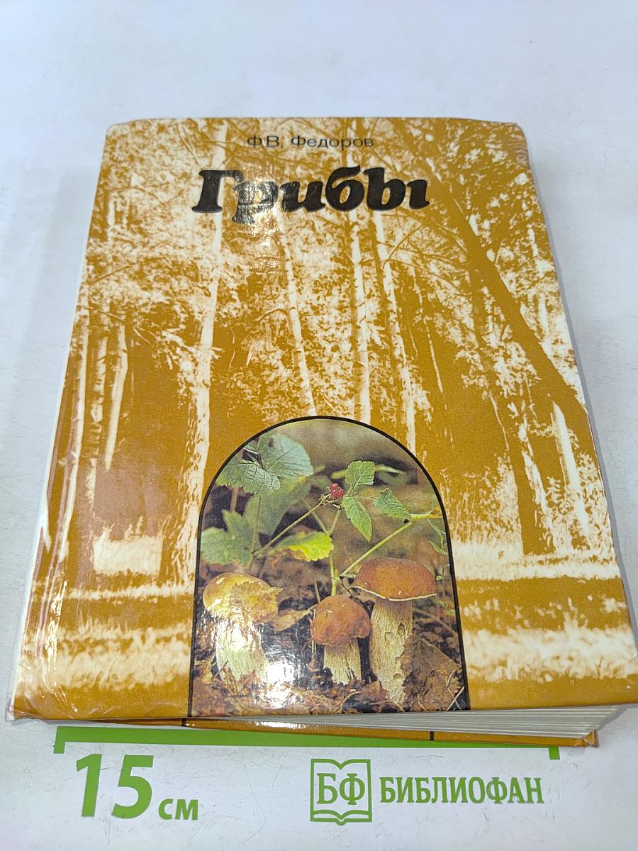Грибы