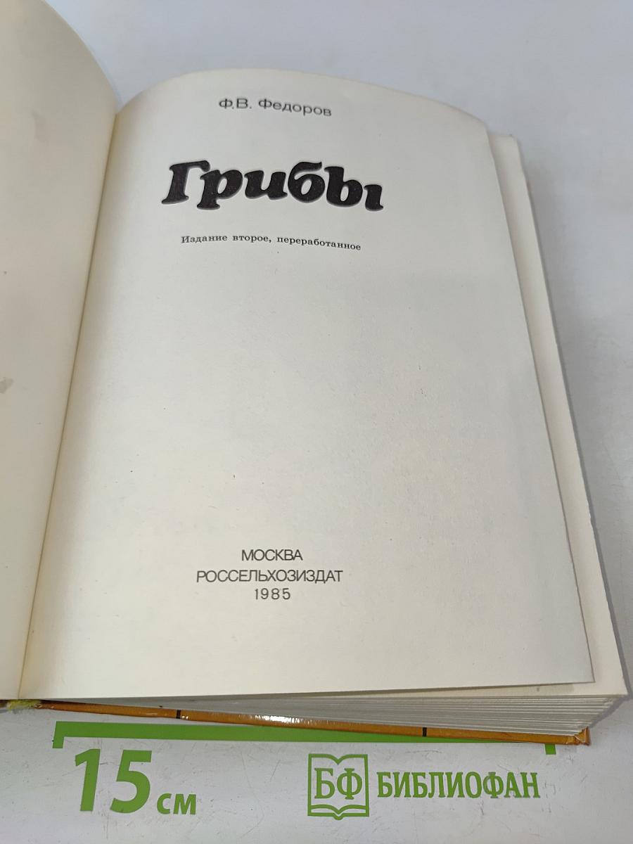 Грибы