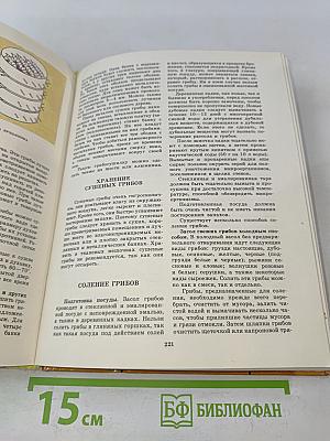 Грибы