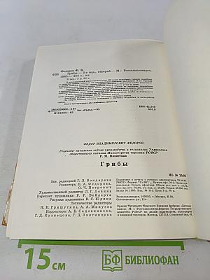 Грибы