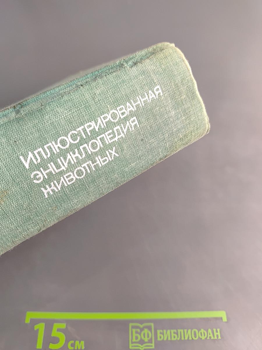 Иллюстрированная энциклопедия животных