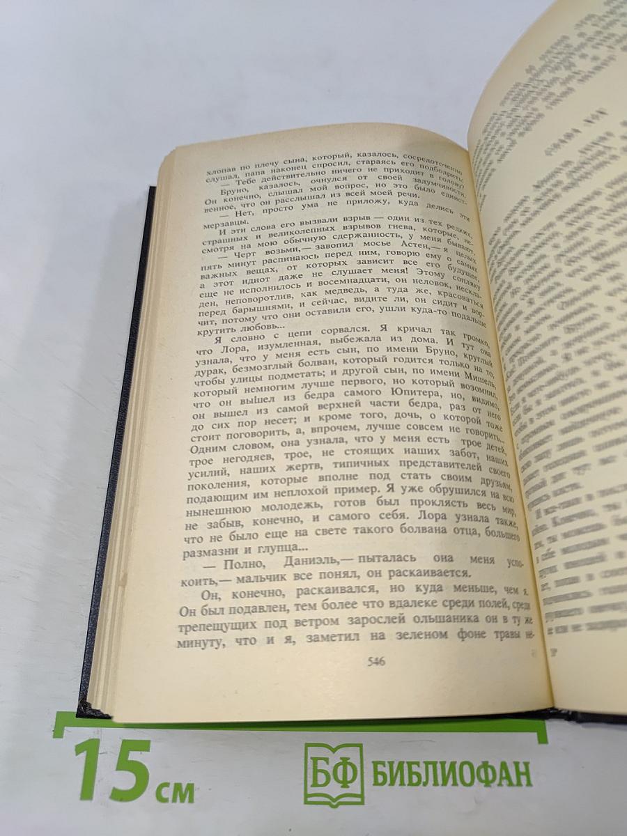 Собрание сочинений. Том второй. Встань и иди масло в огонь ради сына