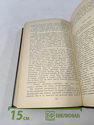 Собрание сочинений. Том второй. Встань и иди масло в огонь ради сына