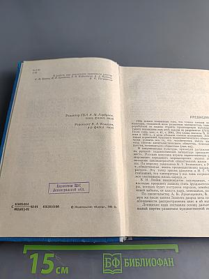 Энциклопедия русской жизни. Роман и повесть в России второй половины XVIII — начала XX века. Рекомендательный библиографический указатель