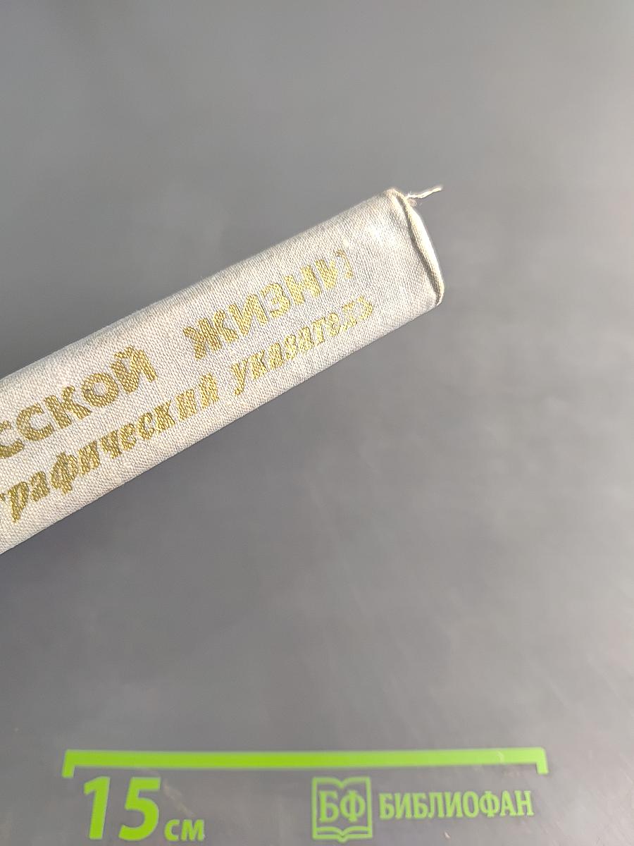 Энциклопедия русской жизни. Роман и повесть в России второй половины XVIII — начала XX века. Рекомендательный библиографический указатель