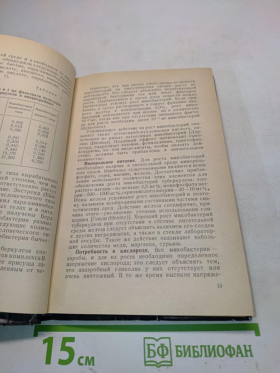Микробиология туберкулеза
