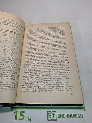 Микробиология туберкулеза