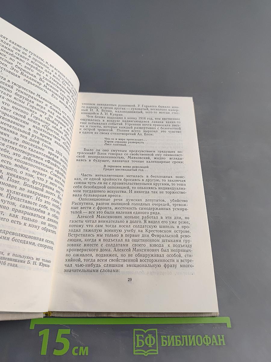 Избранное в двух томах. Том 2. Проза