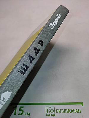 Шадр. Жизнь замечательных людей. Серия биографий. Выпуск 13 (473)