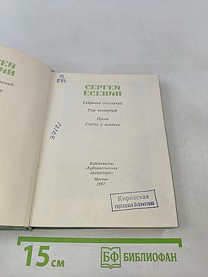 Собрание сочинений. Том четвертый. Проза. Статьи и заметки