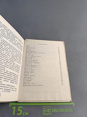 Впередсмотрящий. Повесть о великом мечтателе